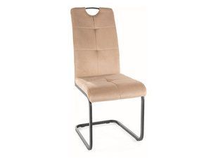 Scaun de dining AXO (FRAME BLACK/BEIGE BLUVEL 28) 43*47*101 cm