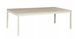 Măsuță de cafea FROST L1 STEJAR ALPIN cu ALB CALD (PAL LAMINAT/METAL) 120&times;60 cm