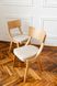 Wooden dining chair Diran, Natural, fabric Mustang cream (29734)