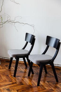 Wooden dining chair Diran, Wenge, Umbrel fabric 09 (29735)